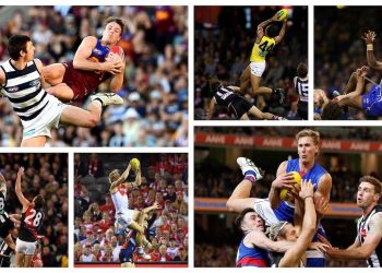 The best marks from the 2019 season | Season Best Ofs | AFL