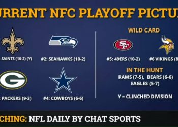 NFL  Playoff Picture: AFC & NFC Clinching Scenarios & Standings Entering Week 14 Of 2019 NFL Season