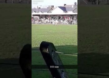 2019 National Football League. Limerick vs Leitrim