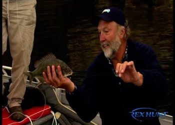Two Aussie Rules footballers catch up on the water in Warrnambool Victoria