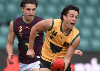 Stop dreaming – Tasmania won’t get its own AFL team