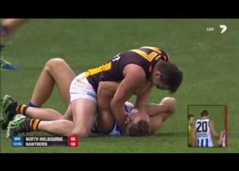 Lake, Petrie trade blows in ugly dust up – AFL