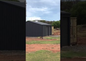 Aussie rules, Kangaroo footy
