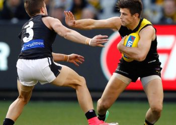 Can the Blues break their Tiger hoodoo?