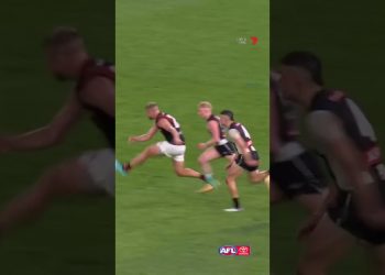 The birthday boy joins the Bomber party #AFL #aussie #rules #football #highlights #shorts #aflshorts