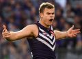 AFL News: Dockers keen to keep Darcy from Cats’ claws, Simpson’s plot twist, Tiger’s controversial escape for VFL dog act