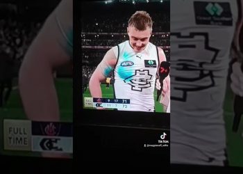 they Done It Again #afl #aussierules #australia #trending #football #carlton #fyp #1millionviews