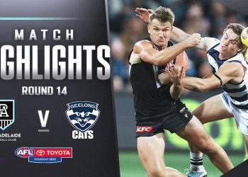 Port Adelaide v Geelong Cats Highlights | Round 14, 2023 | AFL
