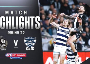 Collingwood v Geelong Highlights | Round 22, 2023
