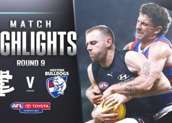 Blues and Dogs do battle under the roof