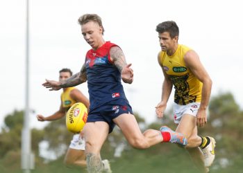 Premiership Dee a Dog as Harmes heads to Whitten Oval in 2023’s first trade