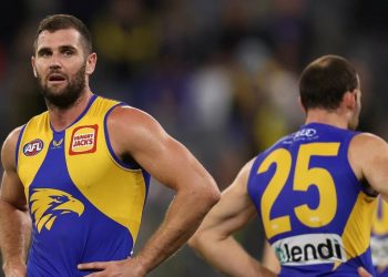 Eagles land Hawk, deny ‘completely unfounded and untrue’ Darling trade rumour