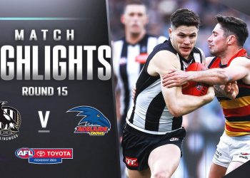 Collingwood v Adelaide highlights | Round 15, 2023 | AFL