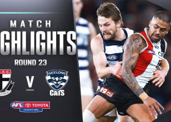 St Kilda v Geelong Highlights | Round 23, 2023 | AFL
