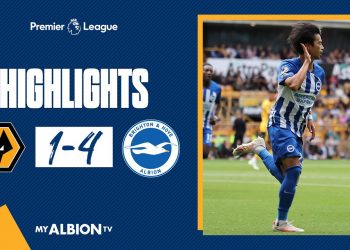 PL Highlights: Wolves 1 Brighton 4