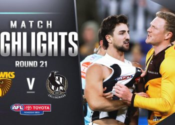 Hawthorn v Collingwood Highlights | Round 21, 2023 | AFL