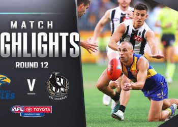 West Coast Eagles v Collingwood Highlights | Round 12, 2023 | AFL