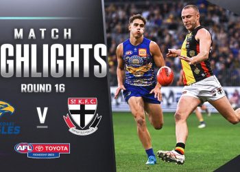 West Coast Eagles v St Kilda Highlights | Round 16. 2023 | AFL