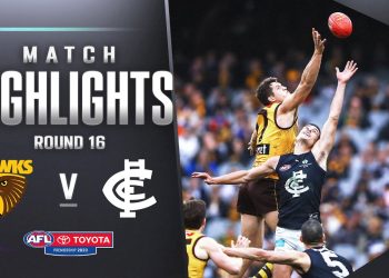 Hawthorn v Carlton Highlights | Round 16, 2023 | AFL