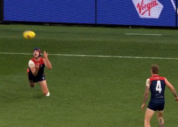 Angus Brayshaw | Career Highlights