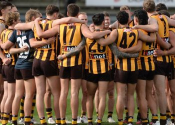 Hawks rocked by training ‘carnage’ with two injured as pre-season from hell gets worse