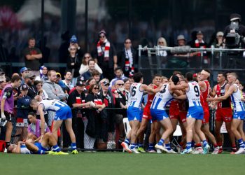 Responding to another dog shot, and admiring Mitch Owens