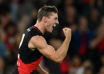 Brad Scott is building something special at Essendon, Bombers fans… if you just stay patient