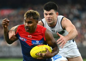 Verdict in for Pickett as Dees’ bizarre Tribunal case savaged