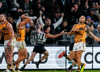 Hawks’ horror wasn’t all Sam Mitchell’s fault, and why THAT Rankine decision was 100 per cent spot on