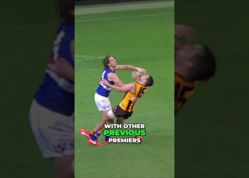 Western Bulldogs SHOCKING 2016 AFL premiership #afl #westernbulldogs #2016aflgrandfinal