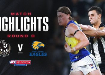 Collingwood v West Coast Eagles Highlights | Round 9, 2024 | AFL