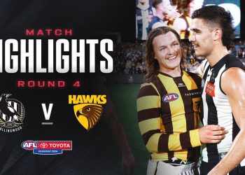 Collingwood v Hawthorn Highlights | Round 4,2024 | AFL