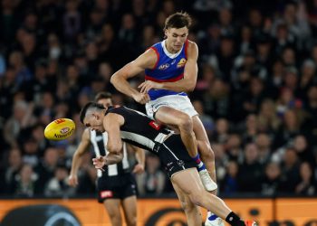 Sam Darcy learns fate for Maynard hit as Dogs trio cop sanctions