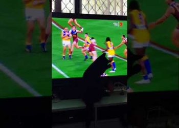 Aussie Rules Kitty!! Brisbane v West Coast