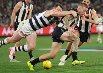 Footy Fix: Fly’s Pies’ bizarre plan to topple Cats worked for a half