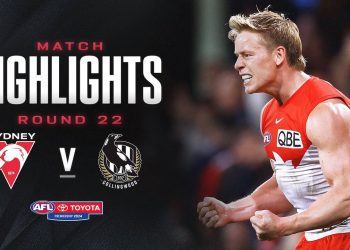 Sydney v Collingwood Highlights | Round 22, 2024 | AFL