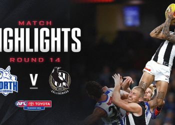 North Melbourne v Collingwood Highlights | Round 14, 2024 | AFL