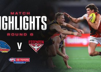 Adelaide v Essendon Highlights | Round 6, 2024 | AFL
