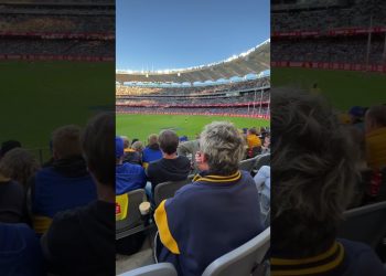 Epic #aussierules #football happening in front of my #eyeballs #westcoasteagles  #afl #westcoast