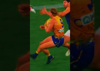 REID!!!!!!! #afl #aussierules #footy #aussie #edit #algorithm #football #fyp #viral #wow #popular