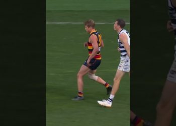 Jeremy Cameron with the incredible mark #shorts #holdingthebull #afl #footy #aussierules