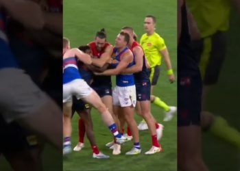 Pickett v Smith #shorts #holdingthebull #afl #footy #aussierules