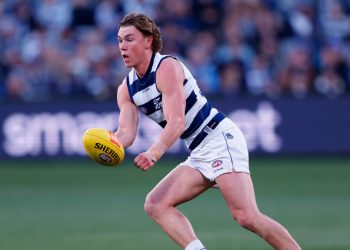 Cat questioned by police in relation to alleged sexual assault