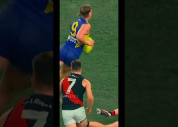 REID has them BEGGING on there KNEES #afl #aussierules #footy #australia #edit #algorithm #football