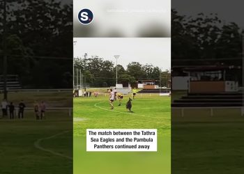 Kangaroo Invades Australian Rules Football Match
