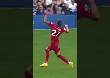 INCREDIBLE SAVE to deny Nunez & Liverpool