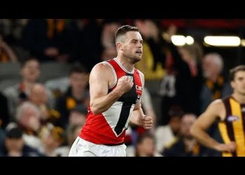 Hawthorn v St.Kilda Round 20 2023