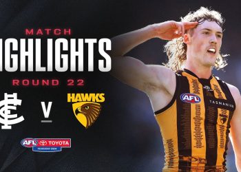 Carlton v Hawthorn Highlights | Round 22, 2024 | AFL