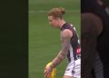Ash JOHNSON best mark of the year #shorts #holdingthebull #afl #footy #aussierules