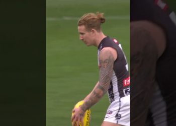 Ash JOHNSON best mark of the year #shorts #holdingthebull #afl #footy #aussierules